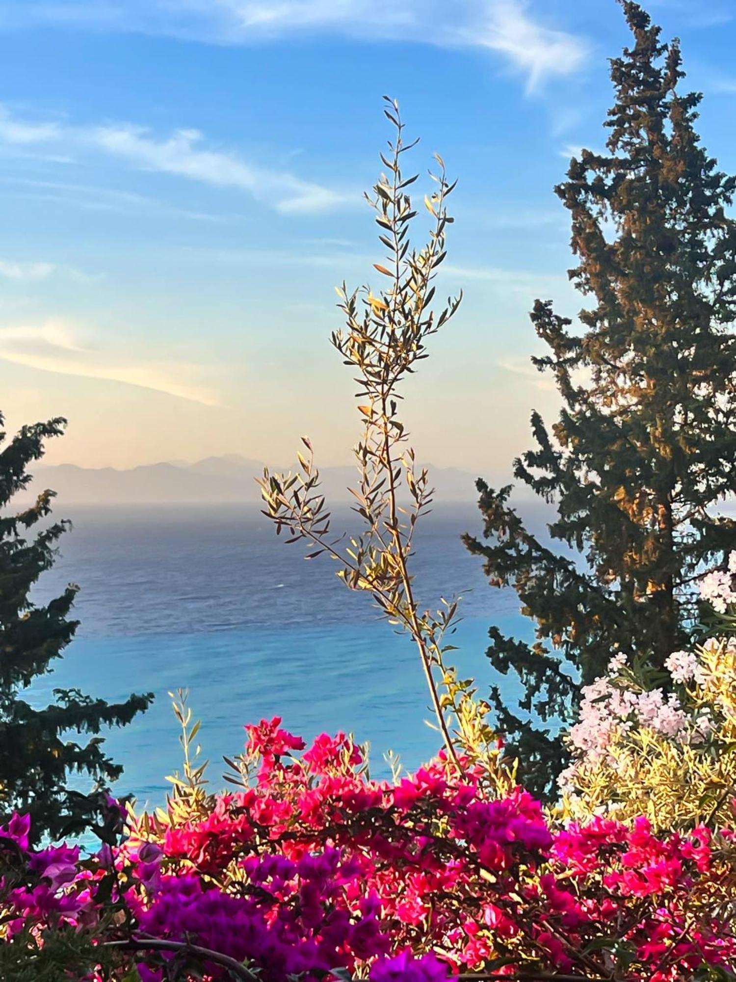 Myrto Homes Lefkada Agios Nikitas Greece エクステリア 写真
