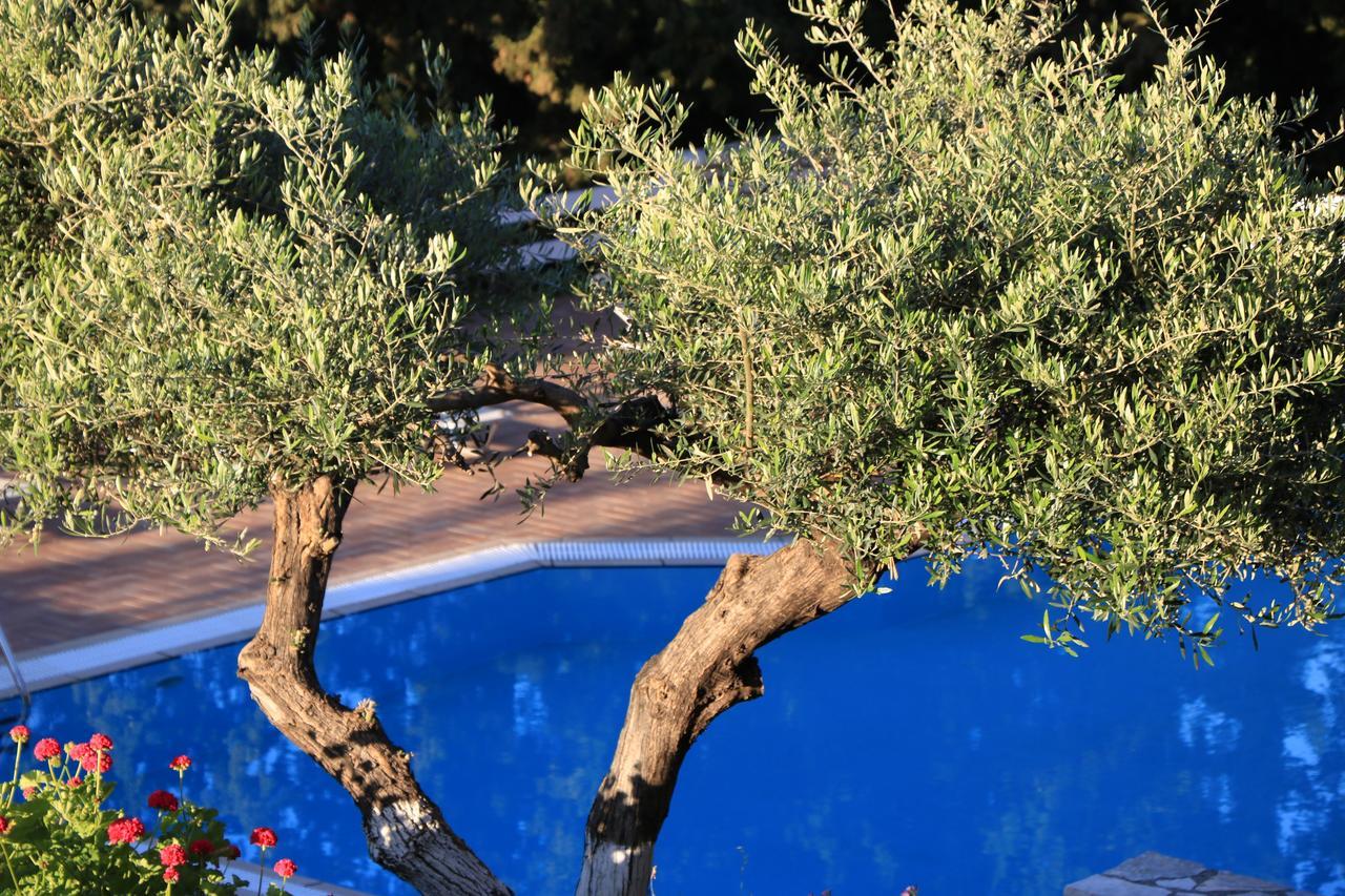 Myrto Homes Lefkada Agios Nikitas Greece エクステリア 写真