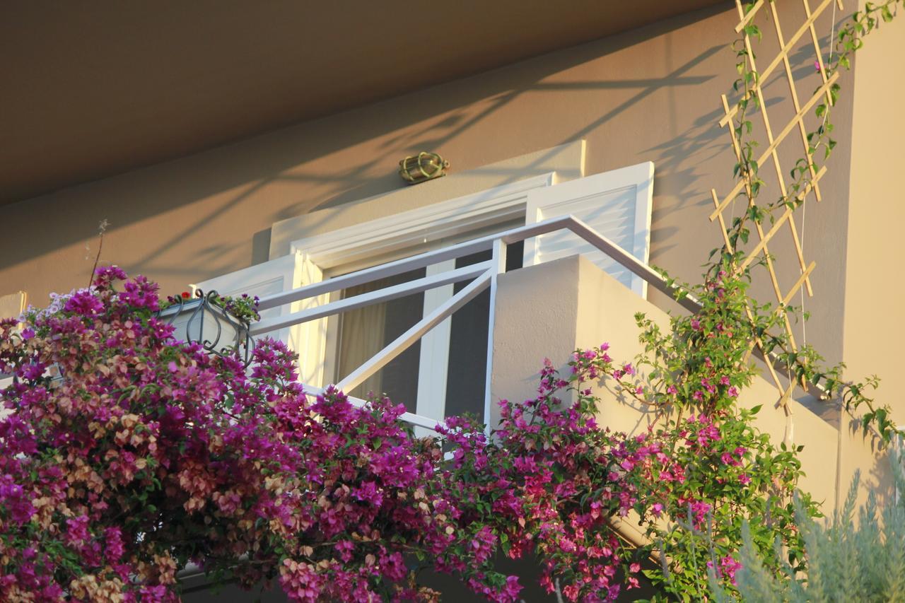 Myrto Homes Lefkada Agios Nikitas Greece エクステリア 写真